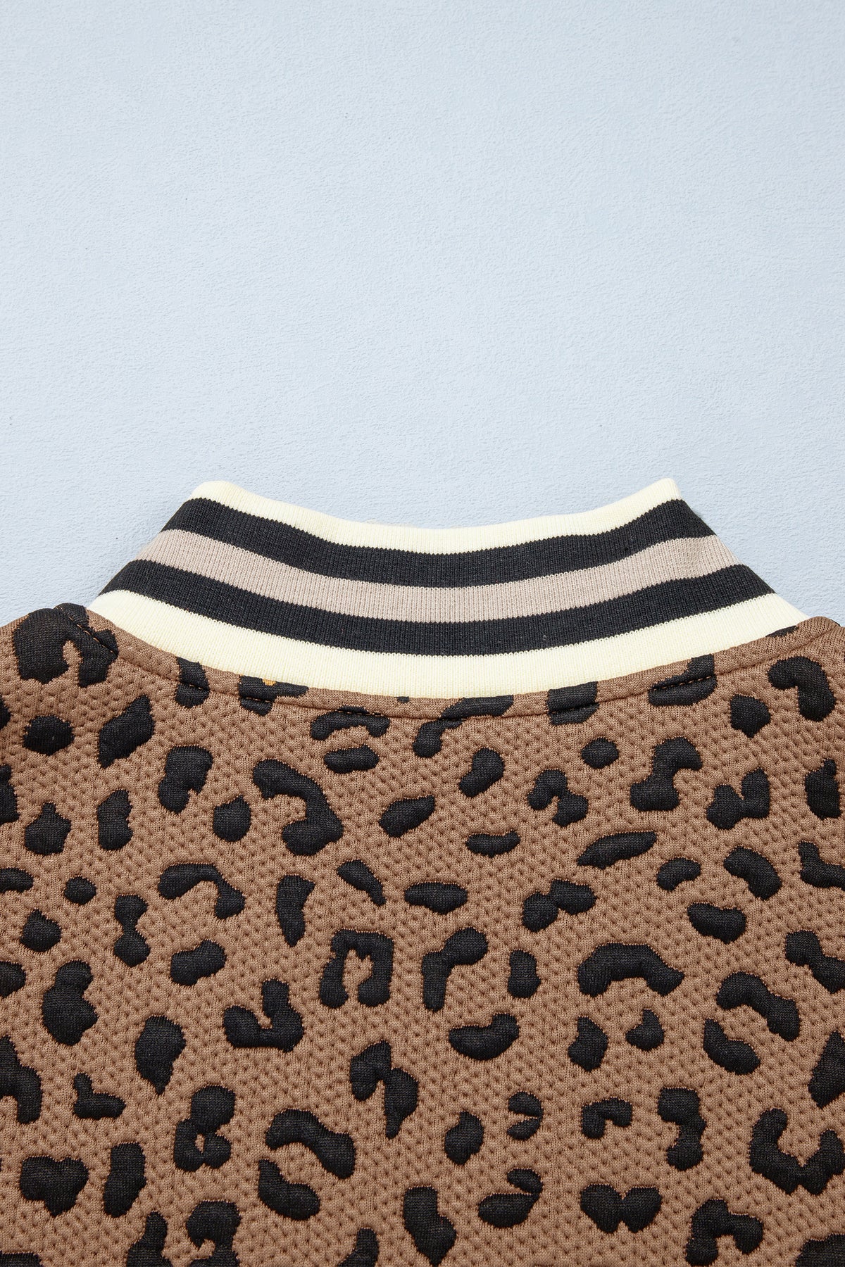Brown Leopard Print Striped Trim Collar Shift