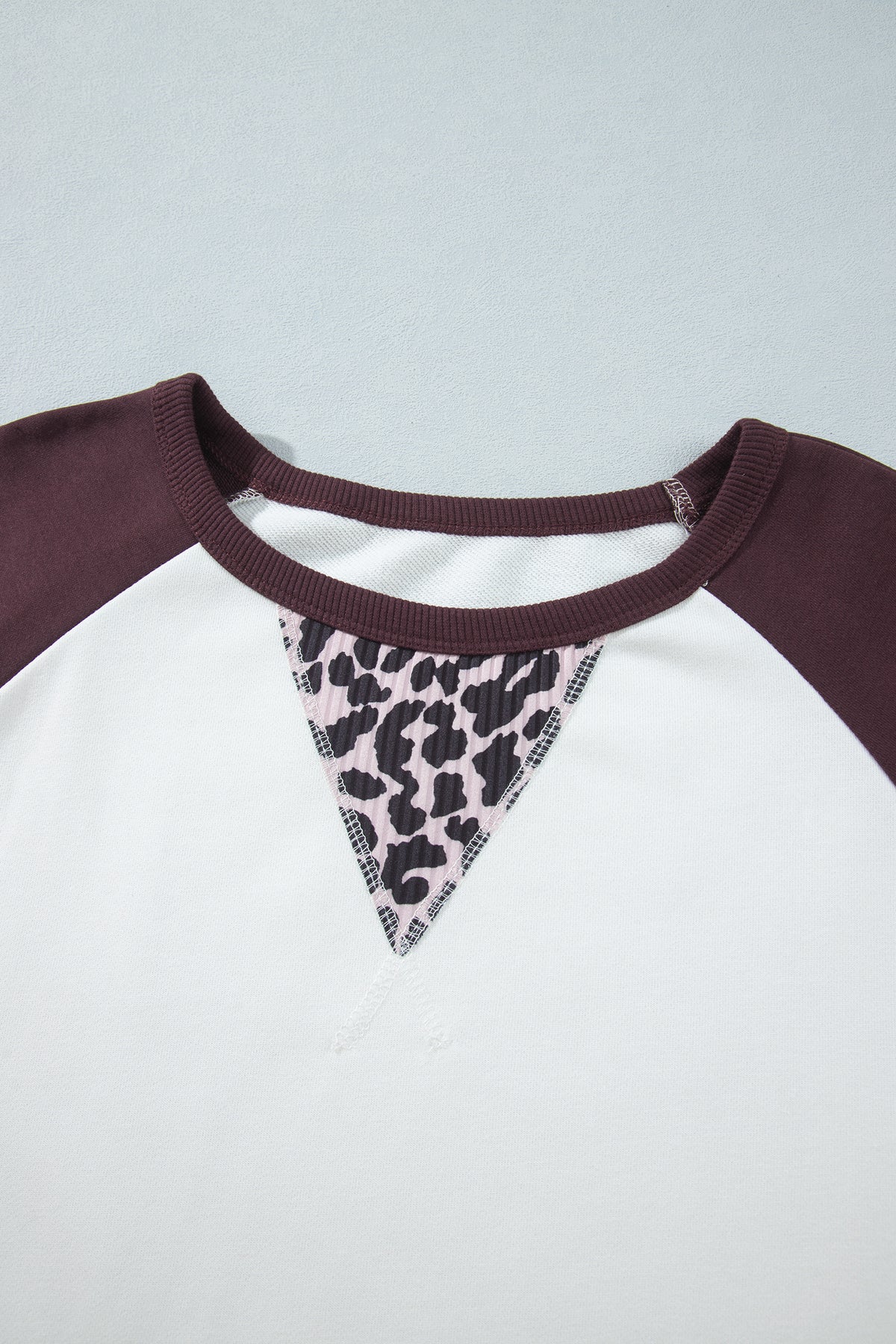 Beige Leopard Print Color-Block Round-Neck Long-Sleeve Plus Size Blouse
