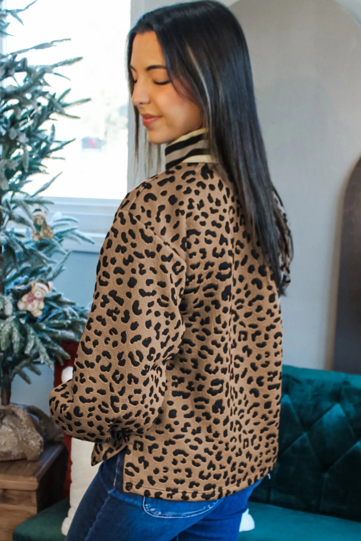 Brown Leopard Print Striped Trim Collar Shift