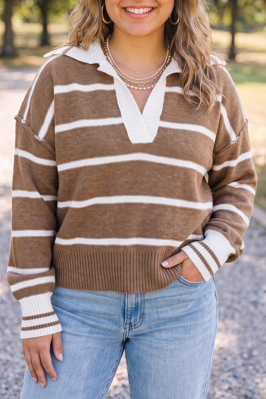 Brown Stripe Striped V Neck Long Sleeve Plus Size Sweater