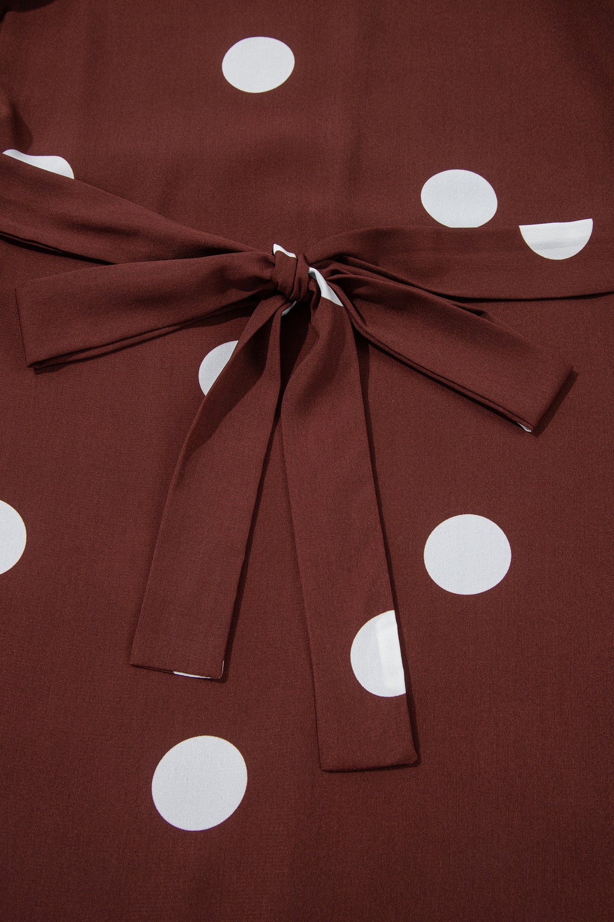 Brown Polka Dot Ruffled Hem Long-Sleeve Tie-Waist Plus Size Dress