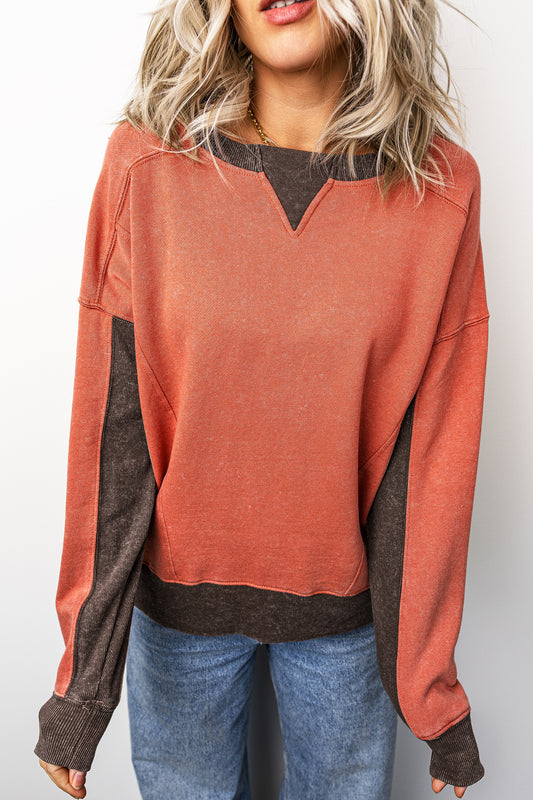 Flamingo Colorblock Vintage Regular Fit Sweatshirt