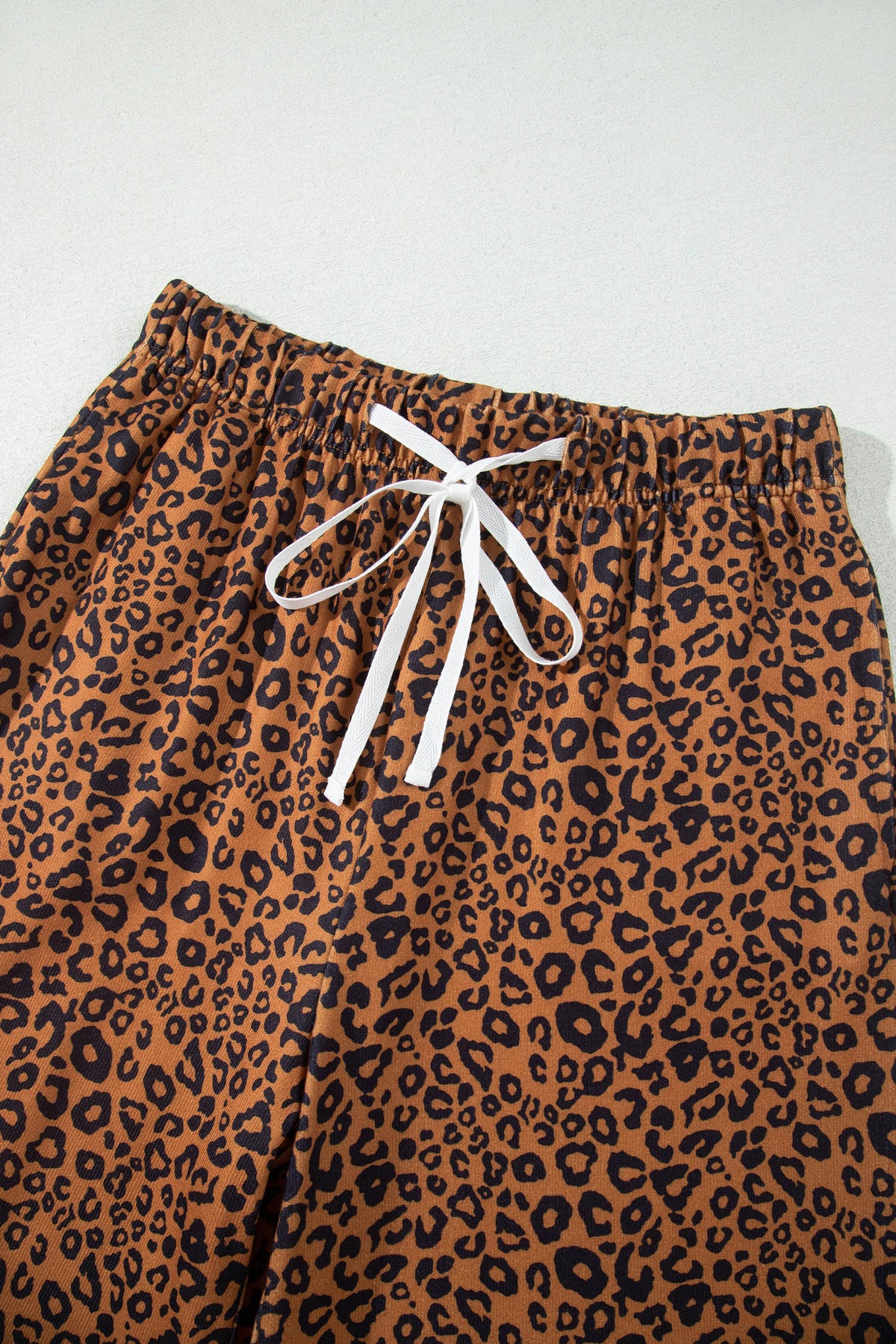 Women's Brown Leopard Print Long-Sleeve Top Relaxed Pants Set