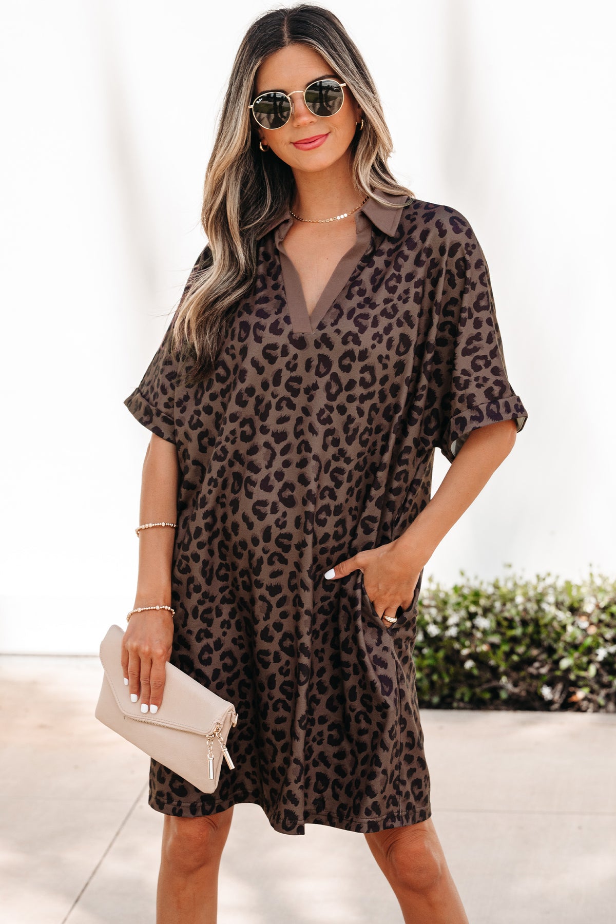 Brown Leopard Print Contrast Collar V Neck Mini Dress