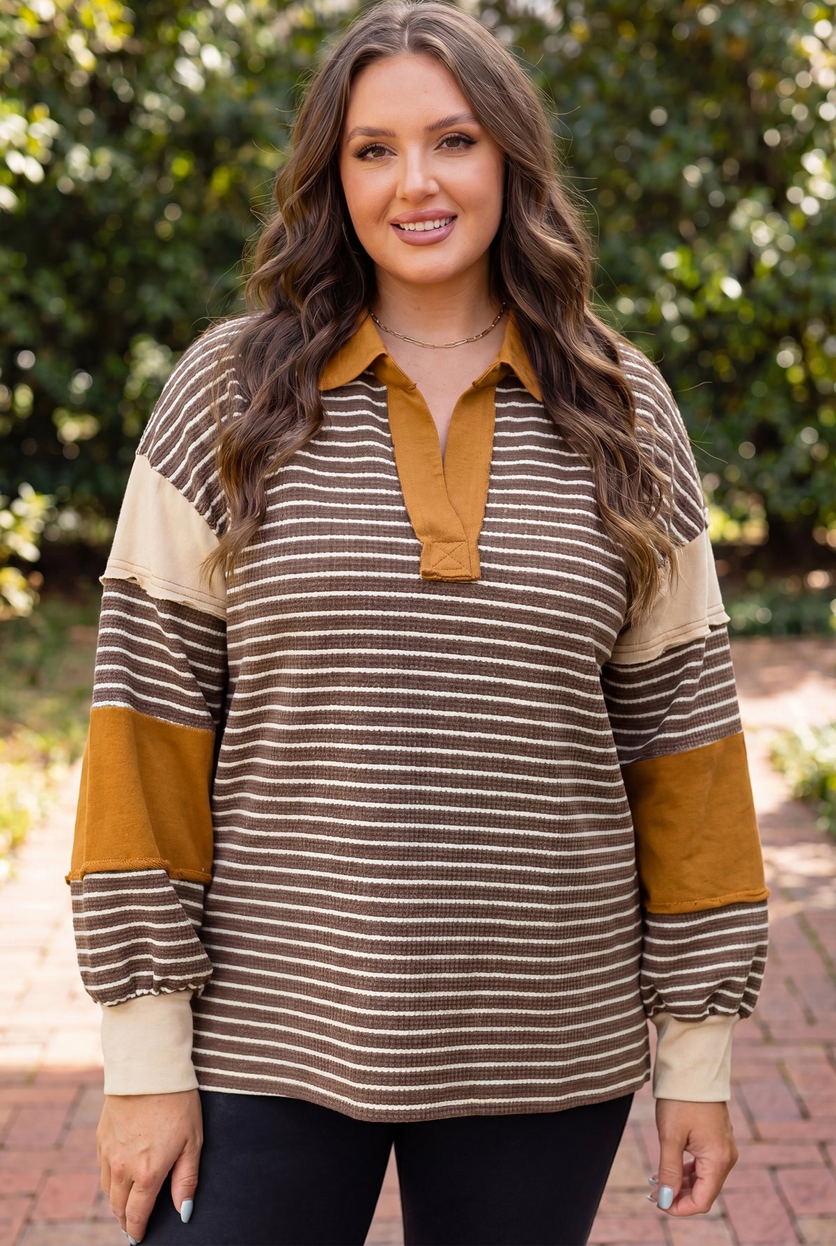 Brown Stripe Color-Block Detail Collar V-Neck Plus Size Long-Sleeve Top