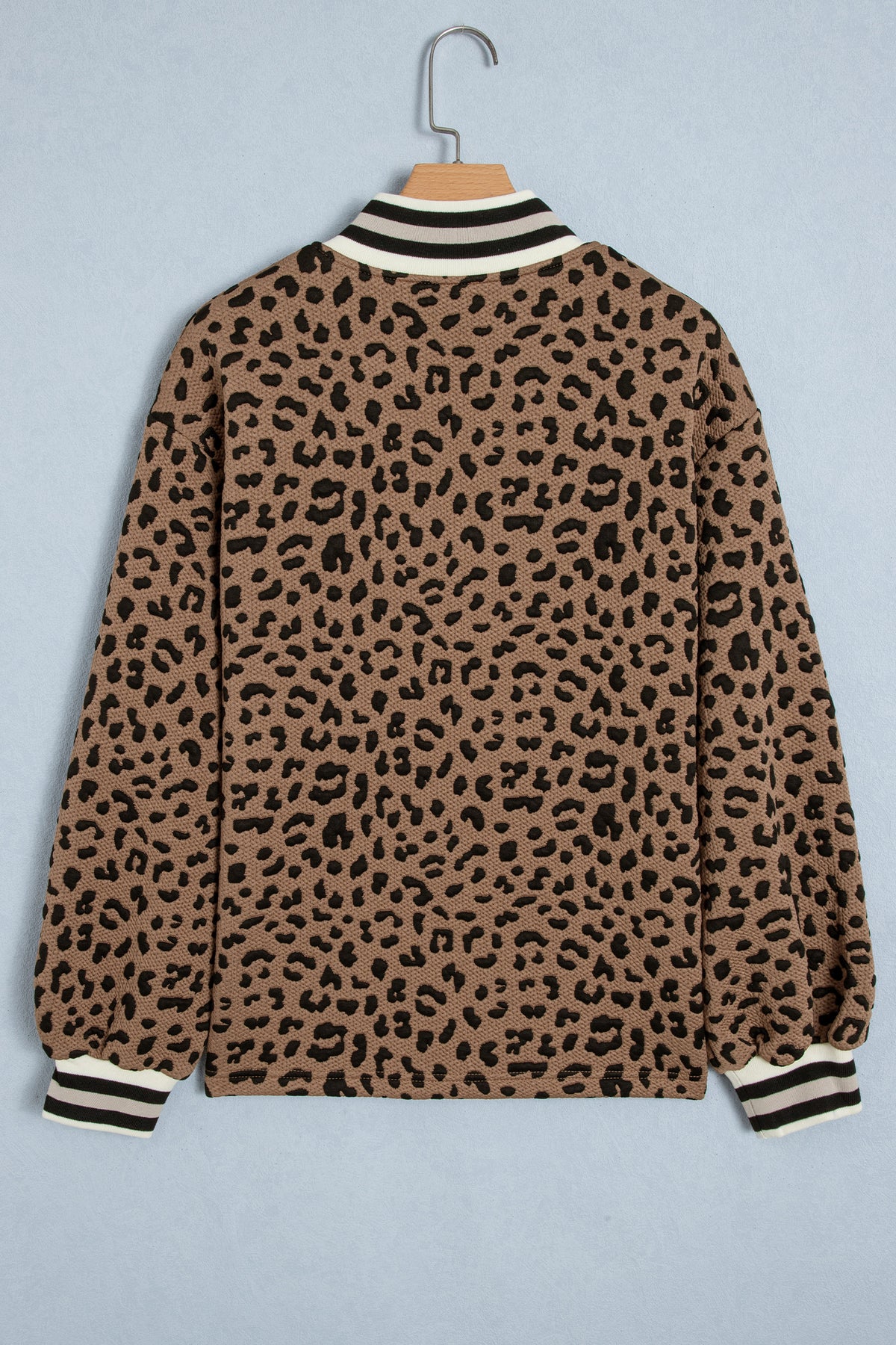 Brown Leopard Print Striped Trim Collar Shift
