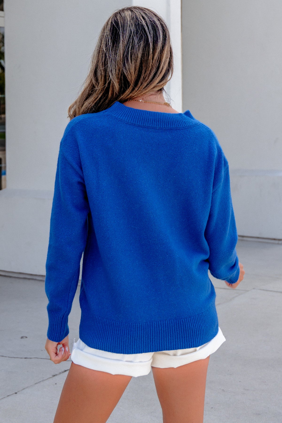 Sky Blue Vintage Mallard Pattern Drop Shoulder Long Sleeve Sweater