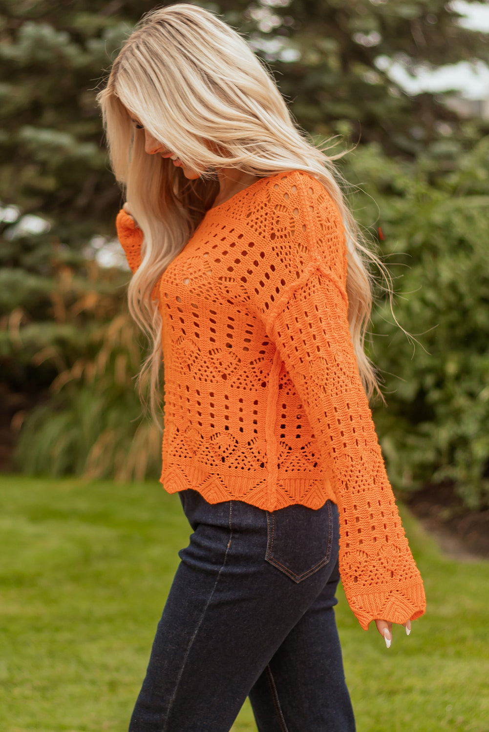 Carrot Solid Color Open Crochet Scallop Edge Sweater