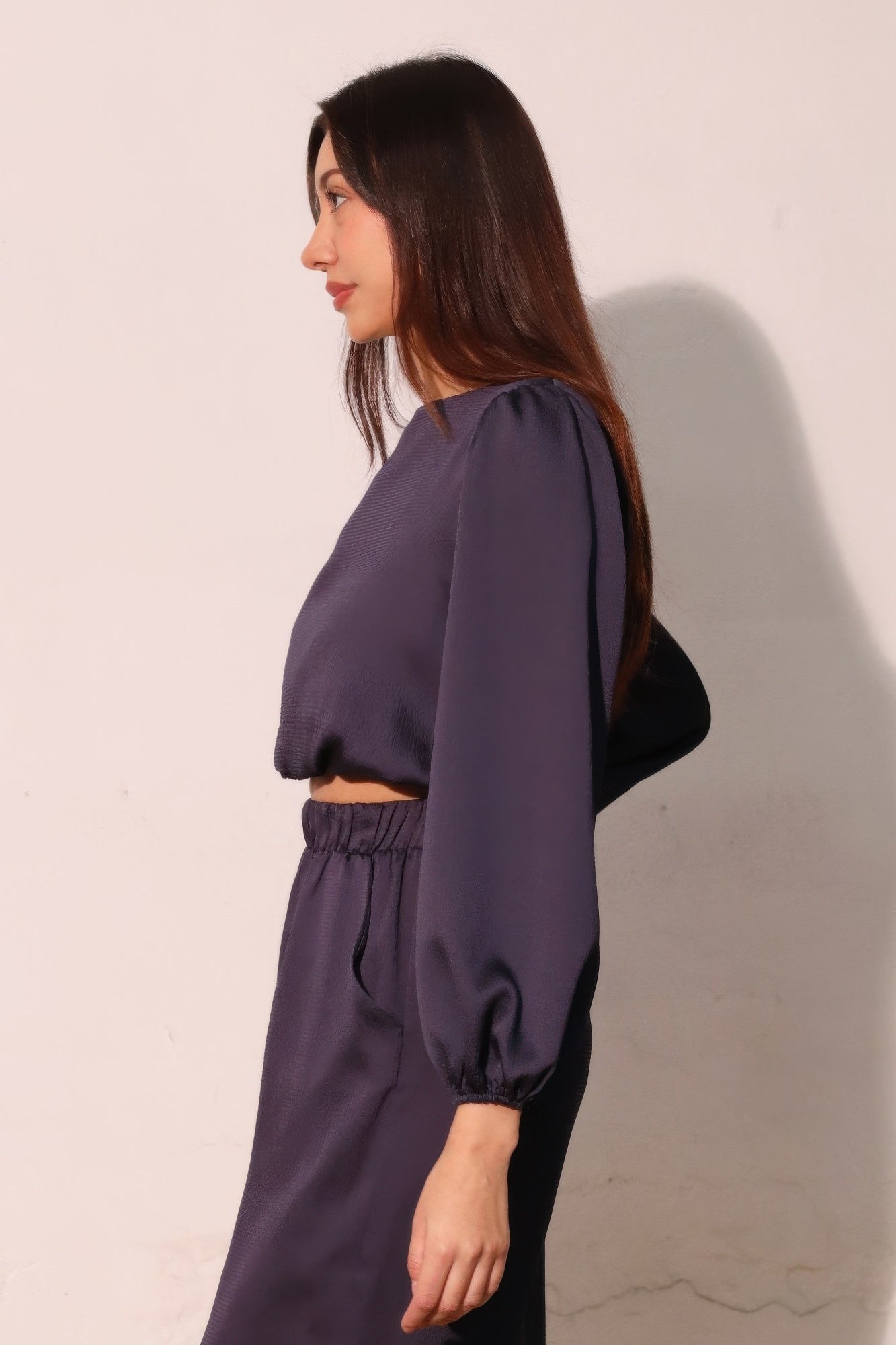 Hammered Satin Long Sleeve Crop Top