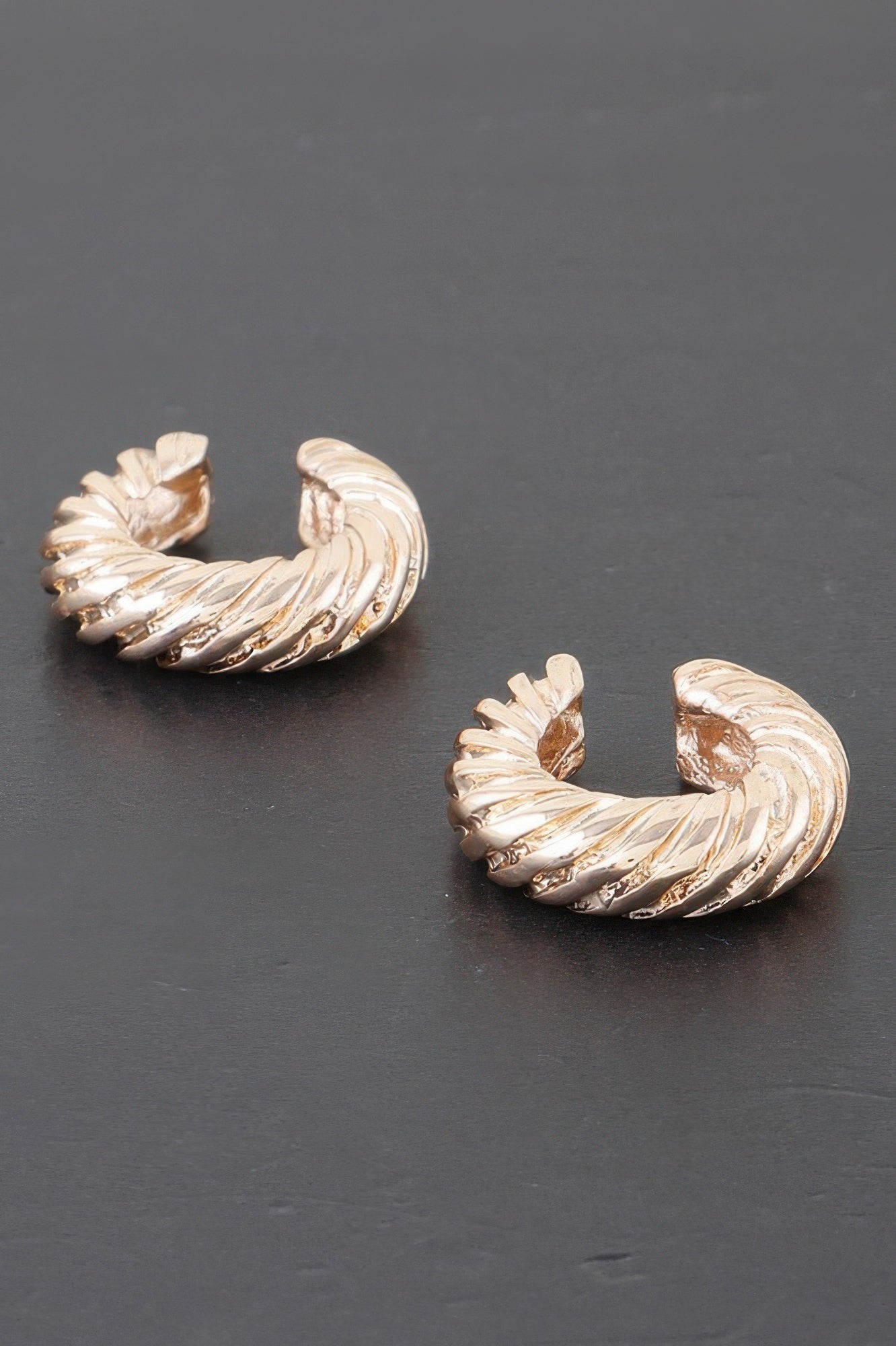 Twisted Rope Hoop Earrings
