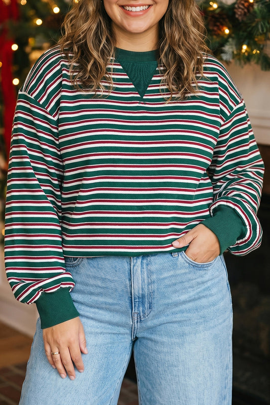 Green Stripe Striped Colorblock Round Neck Plus Sweatshirt
