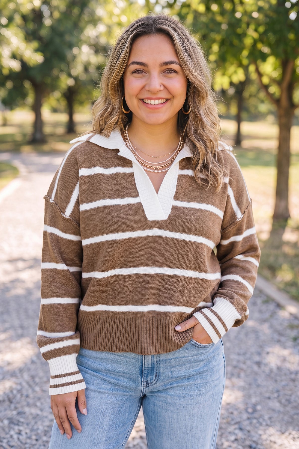 Brown Stripe Striped V Neck Long Sleeve Plus Size Sweater