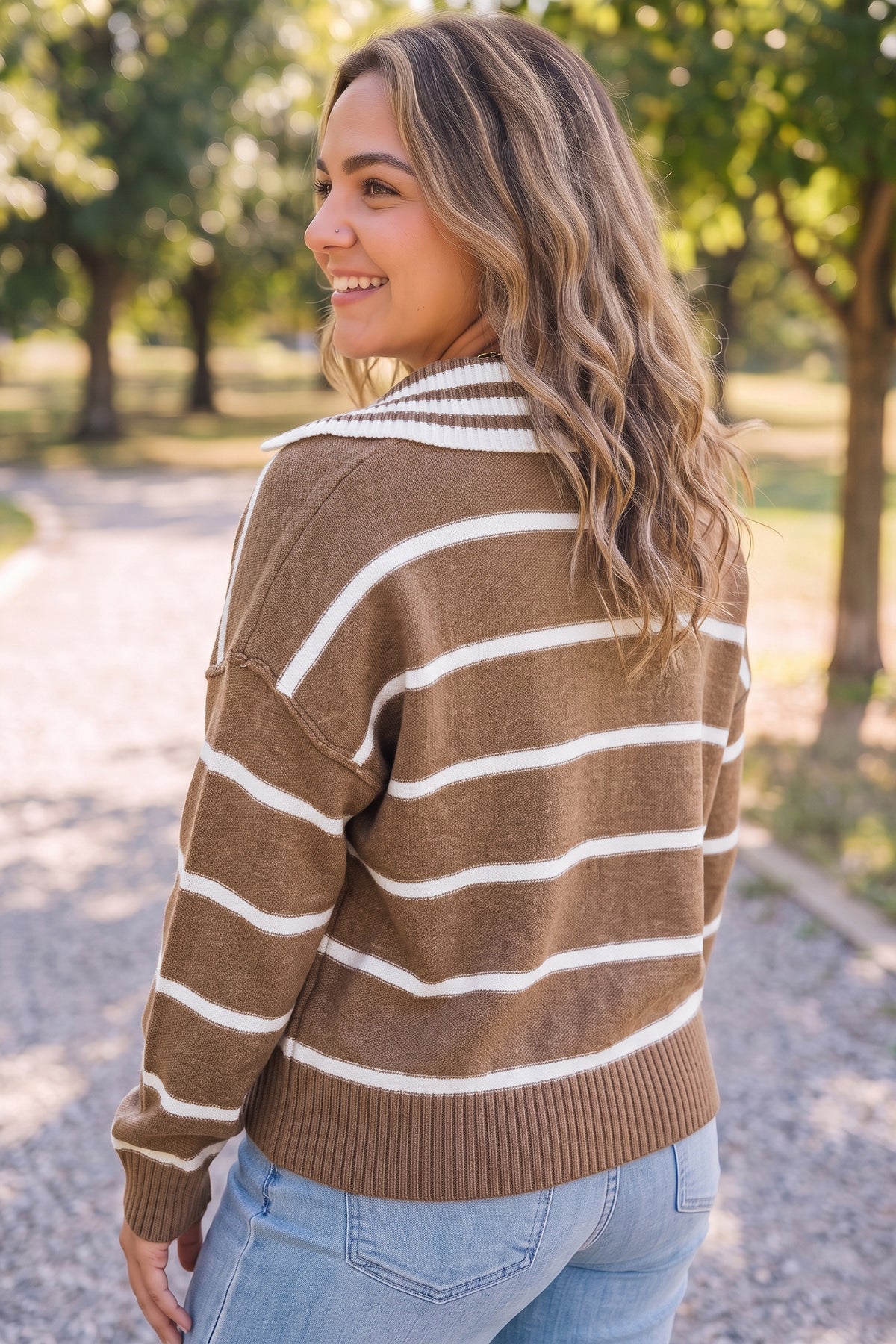 Brown Stripe Striped V Neck Long Sleeve Plus Size Sweater