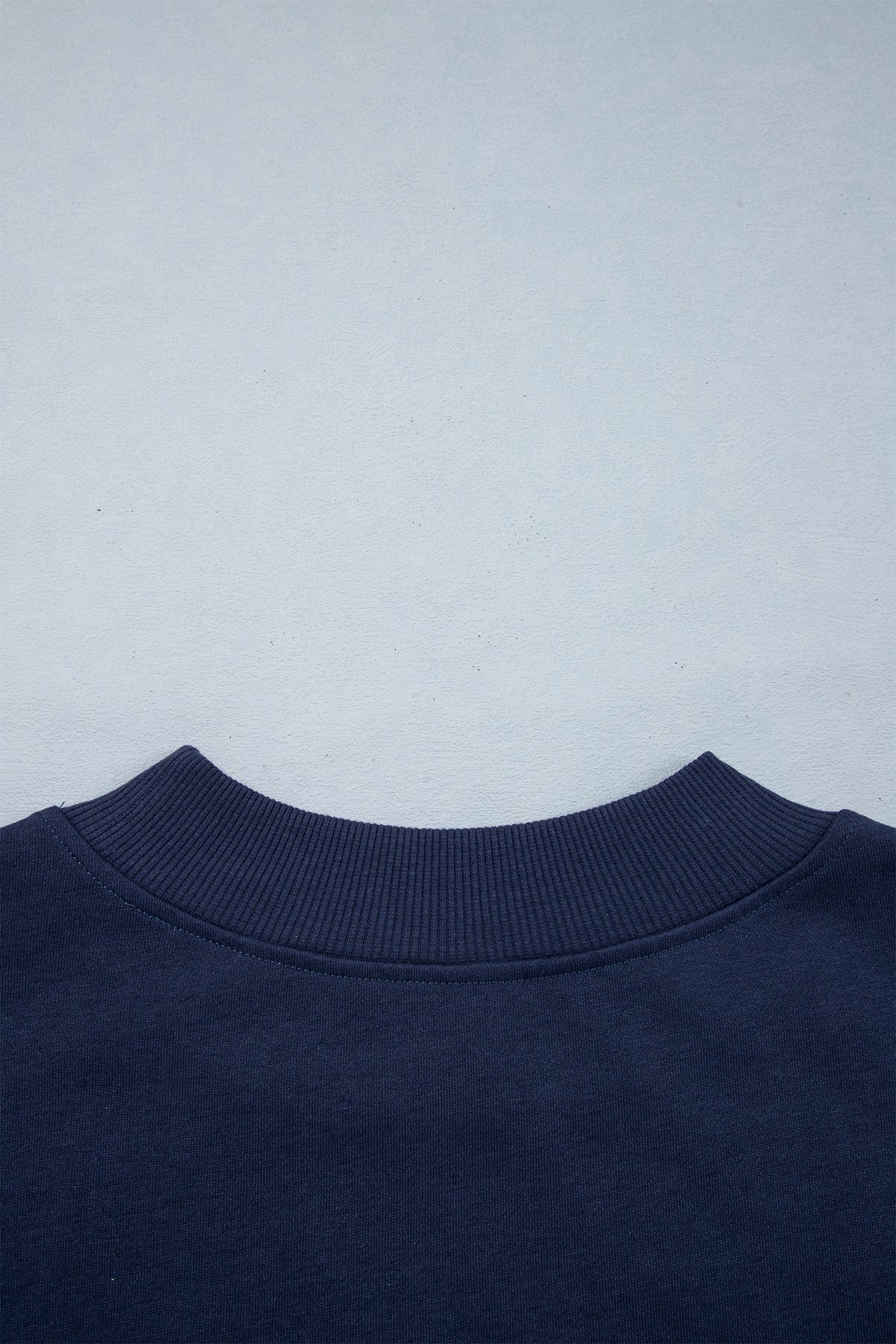 Dirty blue Embroidered Leopard Alabama High Sweatshirt